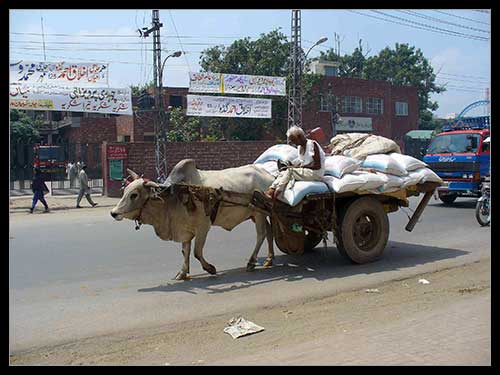 Doprava v Lahore, foto Pavel Matoušek