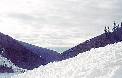 Rozsáhlé laviniště na značené turistické cestě v Žiarské dolině.