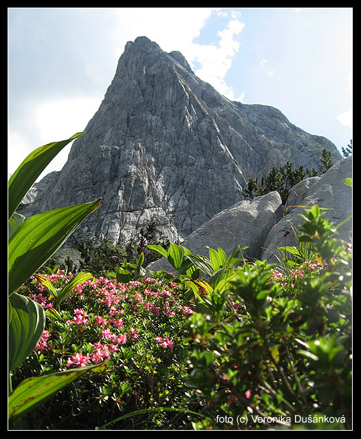 Knallstein (2 232 m)