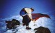 Jungfrau-Schneehorn, Shackletonova země 