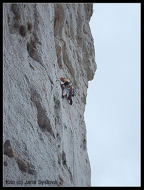 Il Pittore (Settore Anfiteatro) 5c 