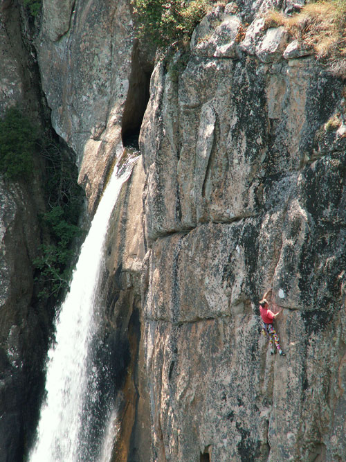 Piscia  di gallo, cesta Riviére d´argent 7a+