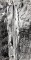 Údolní stěna Hlásky na Drábských světničkách, lezci v Andělově stěně, začátek padesátých let
