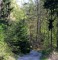 Strmá lesní cesta na brdský hřeben, výška 492 m