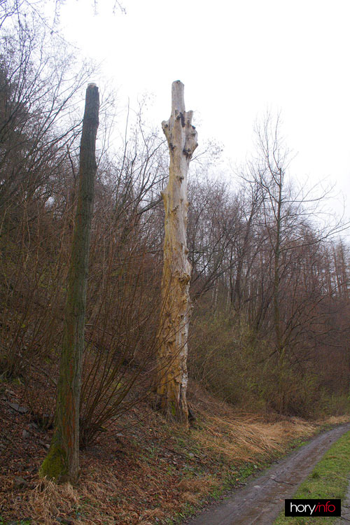Legendární suchý strom s borháky