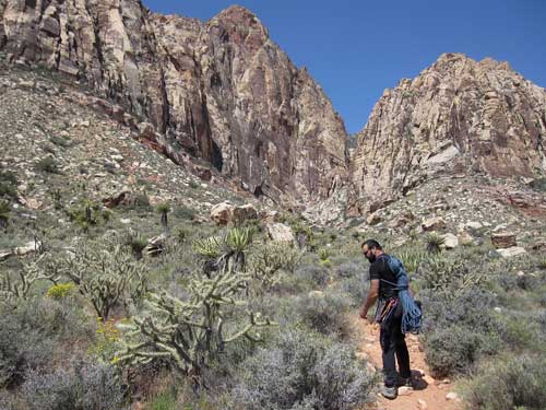 Red Rocks cesta kaňonem v poušti