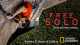 Free Solo banner filmu