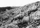Vysokohorský kras; žlábkové škrapy; Julské Alpy, skupina Krn